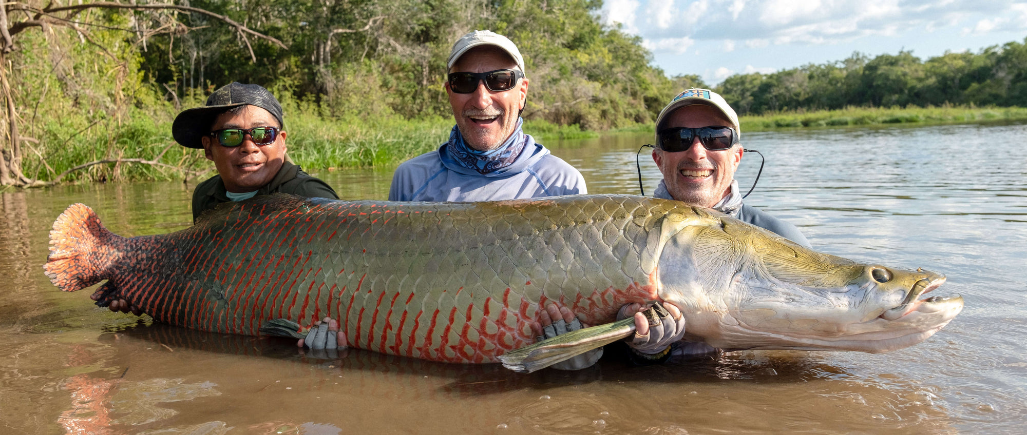 Three anglers kneeling down in water and holding up Arapaima