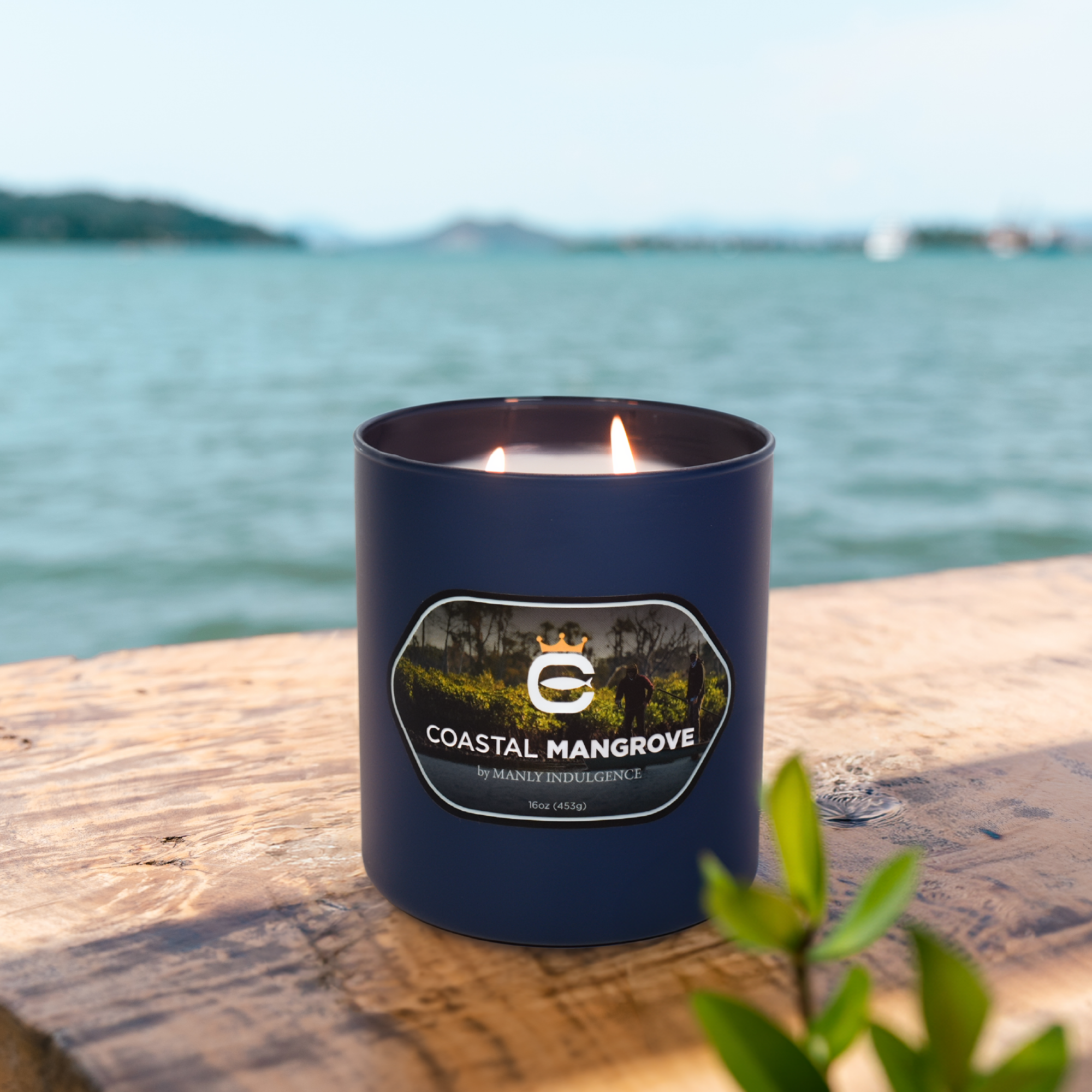 Coastal Mangrove, 16oz, Two Wick Candle